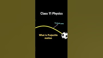 Projectile Motion Explained! | Class 11 Physics | Motion in a Plane Made Simple