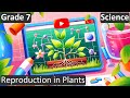 Reproduction in plants  class 7  science cbse  icse  free tutorial