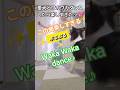 wakawaka愛犬と踊った結果 #踊ってみた #wakawaka #shorts