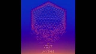 Voice of the Universe #psychill #chillout #electronicmusic