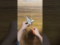 Paper Snowflakes Design