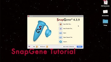 SnapGene Tutorial