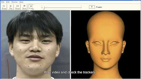 MotionEditor - Facial motion capture without using markers (1998)