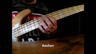 How to play a Bass Solo over a Static Chord ( funk feel )
