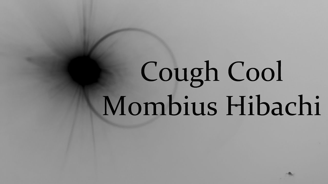 Cough Cool (Misfits Cover) - Mombius Hibachi (Official Music Video)