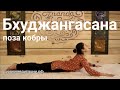 Йога для начинающих. Обучающее видео № 9.2. Асана №20. Бхуджангасана (Поза кобры).