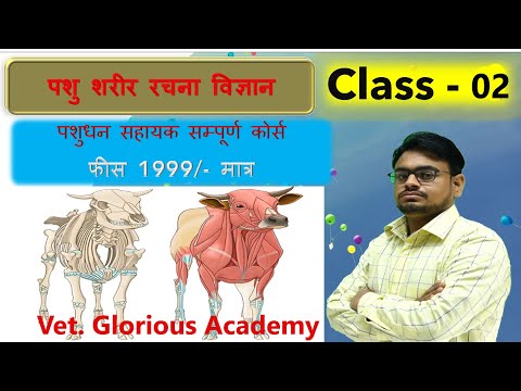 Veterinary Anatomy Terminology - class  02