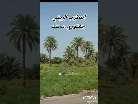 المطرب الريفي لأصيل جعفوري محمد ونين