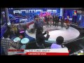 tunas gratis en animales sueltos (con detrás de cámara)
