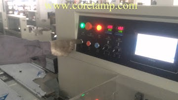 flow pack machine for Switch KT-350X