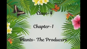 Plants-The Producers | Ch-1 | Class-4 | Science (Part-1)