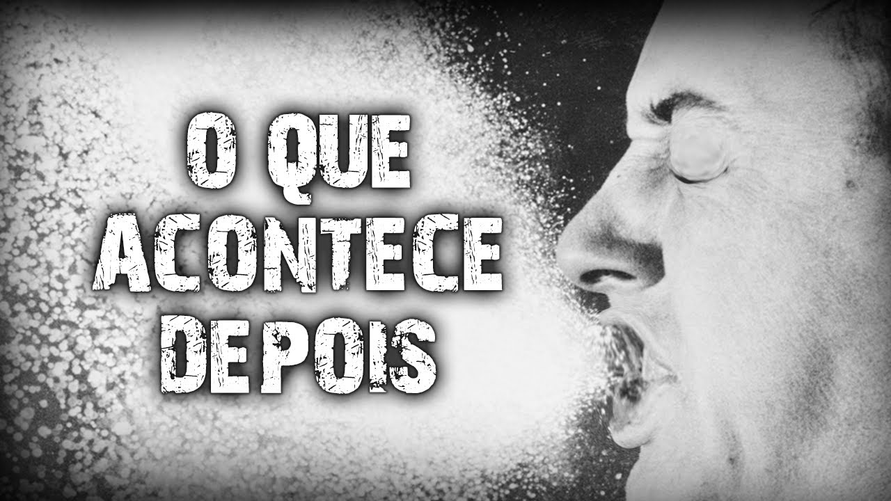 O Que Acontece Depois Do Recurso Não Provido