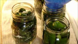 Picking and Canning Jalapenos