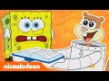 SpongeBob | Nickelodeon Arabia | سبونج بوب | التعلم من سبونج بوب 2