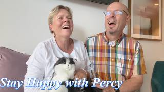Stay Happy with Percy: Why they‘re Falling in Love with This Robotic Cat