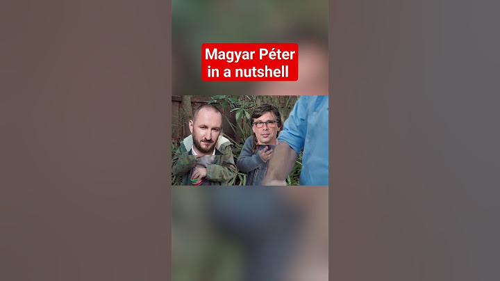 MAGYAR PÉTER AKCIÓBAN #fairright #magyarpeter #ellenzék #vargajudit