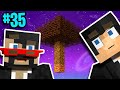 Minecraft: Sky Factory 4 w/ X33N Ep. 35