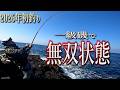 2026年初の磯釣り‼一級磯で怒涛の無双状態‼