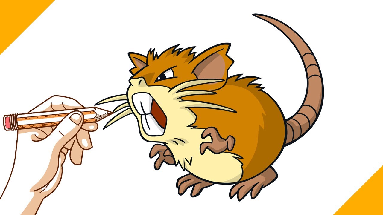 Tutorial speed drawing Raticate, Pokémon - como desenhar Pokemon