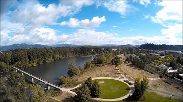 Blackout 330 || Cobra 2208-200KV - Rollin with the Punches