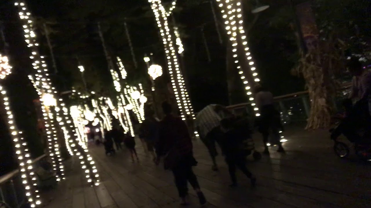 Gilroy Gardens Halloween Nights 10/27/17 YouTube