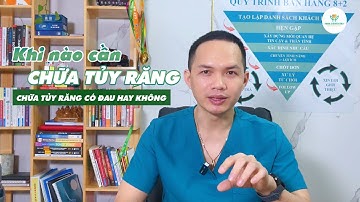 Chữa Tủy Răng Có Đau Không? Dấu Hiệu Cho Thấy Bạn Cần Chữa Tủy Răng Ngay | Nha Khoa Hina