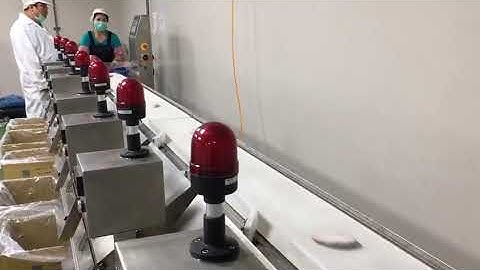 High Accuracy Dynamic Weight Checker Weighing Conveyor Belt Scale with Sorting Function