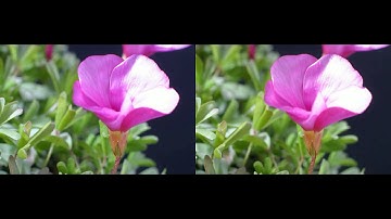 Subtitle Stereoscopic Video with Depth Information