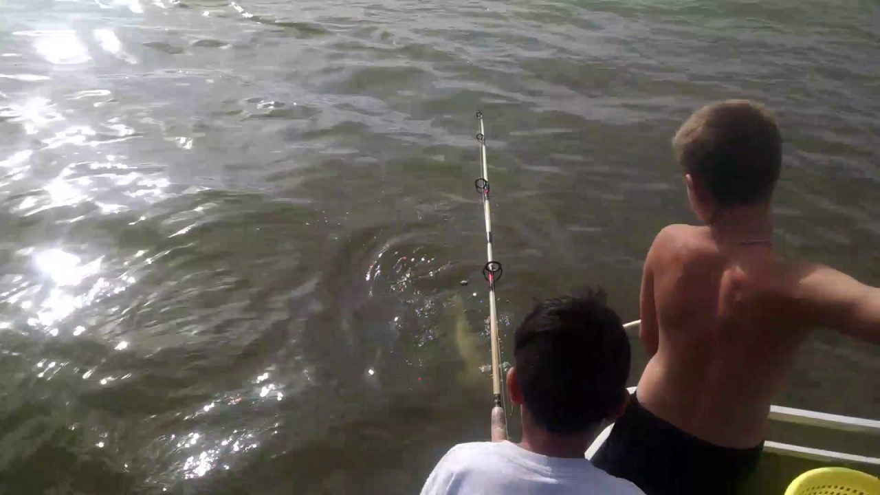 Gar fishing on Lake Livingston - YouTube