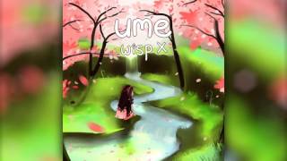 Wisp X - Lily