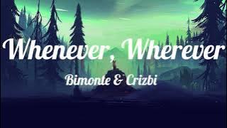 Shakira - Whenever, Wherever (BIMONTE & CRIZBI cover) [Magic Cover Release] (Lyrics)