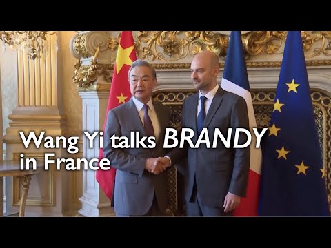 Wang Yi addresses