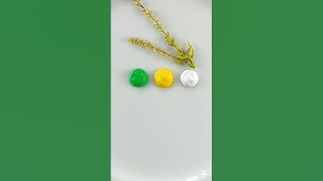 Video over het mengen van kleuren om de kleur citroengeel te maken #chamelispaint #shorts #kleure...