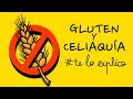 El gluten y la celiaqua  teloexplico