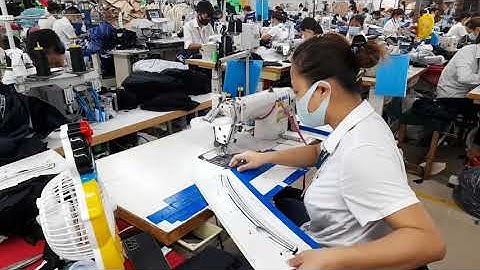 dập cải tiến cặp 3 lá cổ sơ mi