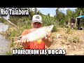 PESCA EN ZÁRATE - Río Talabera (segunda parte)