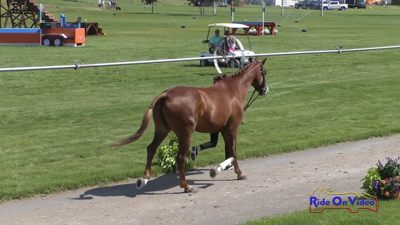 horseshoe bend 073J1 Marissa Nielsen on Vinetta M CCI4* Short Jog 1 Rebecca Farm July 2019