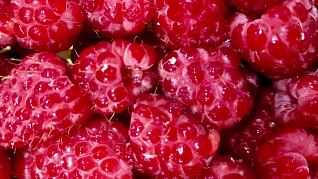 Как заморозить / сохранить малину на зиму- быстрый, легкий и очень удобный способ