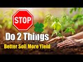 Two Things for Great Vegetable Garden Soil