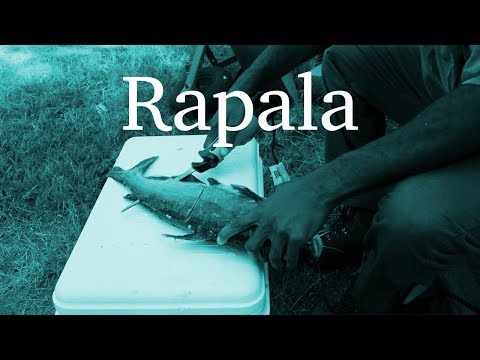 Rapala Heavy Duty Electric Fillet Knife