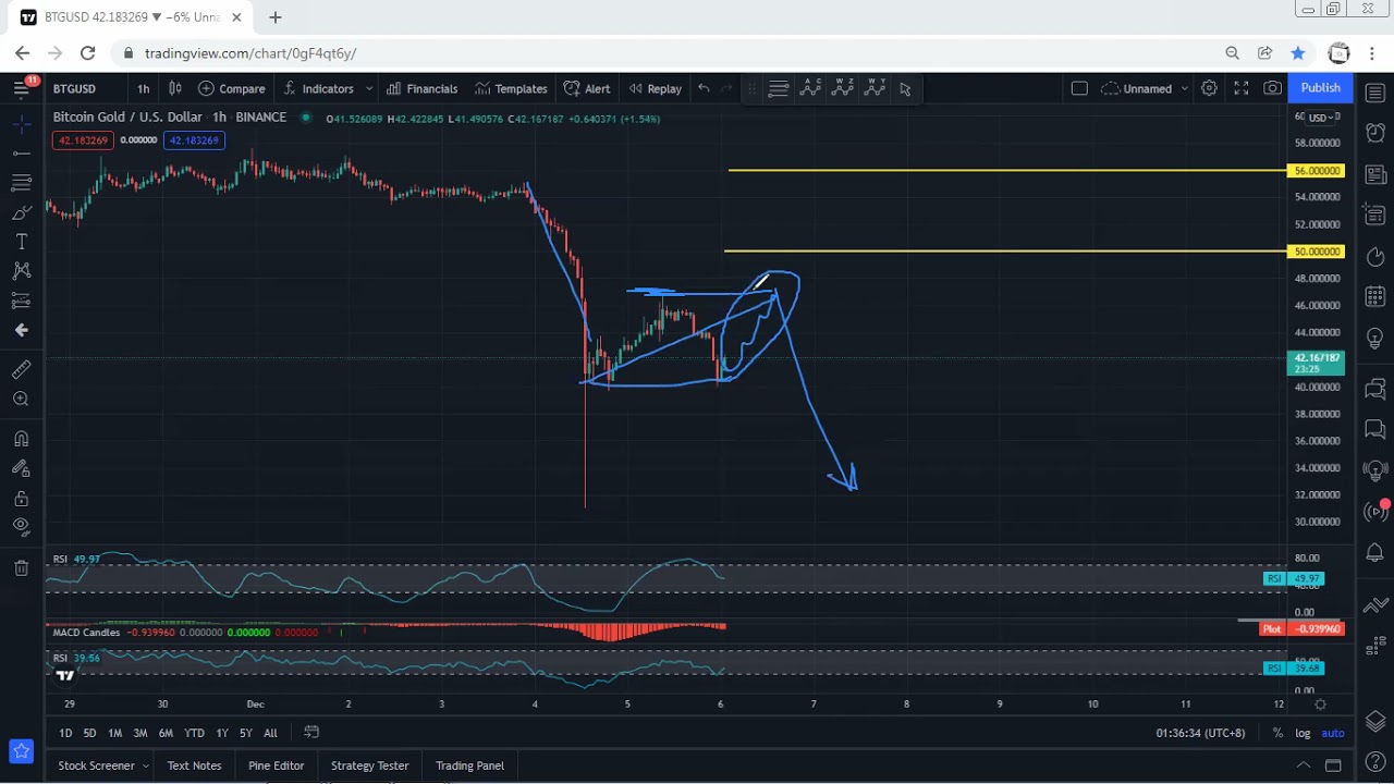 Bitcoin Gold Analysis for December 5, 2021 - BTG - PRICE UPDATE