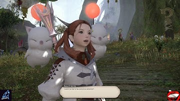 FFXIV - Death of a Mailman (Carrier Quest Lvl 13)