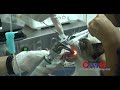 Clínica veterinaria parte 2 (Atención médica y el cuidado de animales)