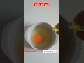 طفلي لا يأكل البيض