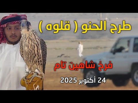 محاولة و لحظة طرح فرح شاهين تام الحنو لقلوة 24 أكتوبر 2025 توثيق المبدع صالح الجهني