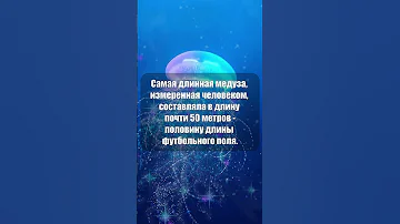 Самая длинная медуза #shorts