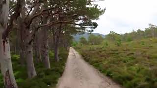 Distinguere Prevedere Costa Vivere Preferire 1005105