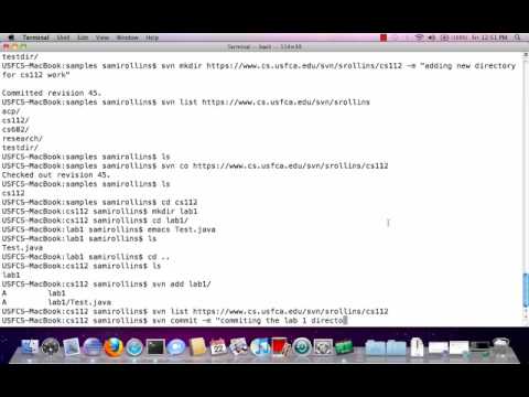 Basic SVN Tutorial