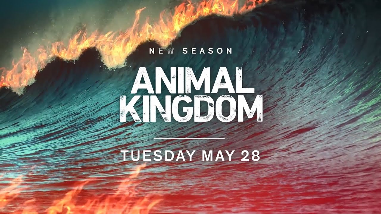 Animal Kingdom Season Four Extended Promo YouTube