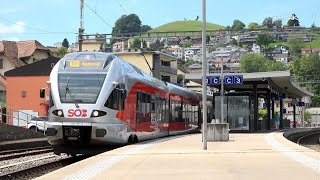 Zug der SOB - S40 in Wollerau